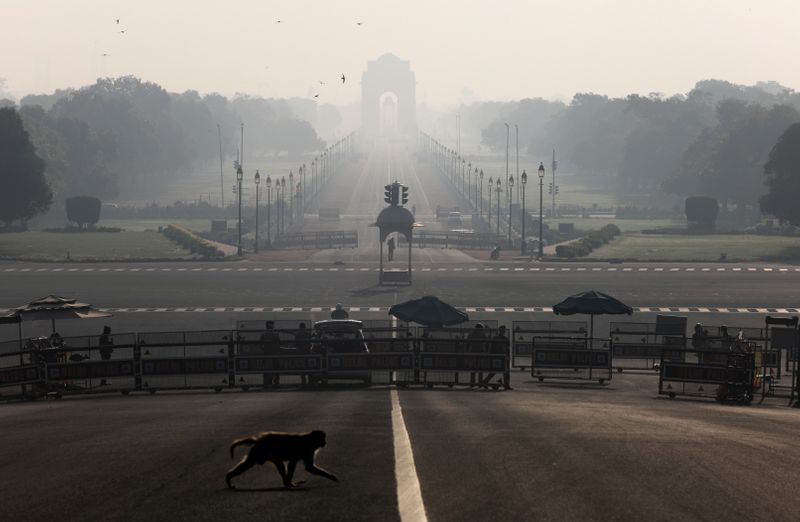 © Reuters. Macaco atravessa rua próxima ao palácio presidencial da Índia, em Nova Délhi, durante período de 