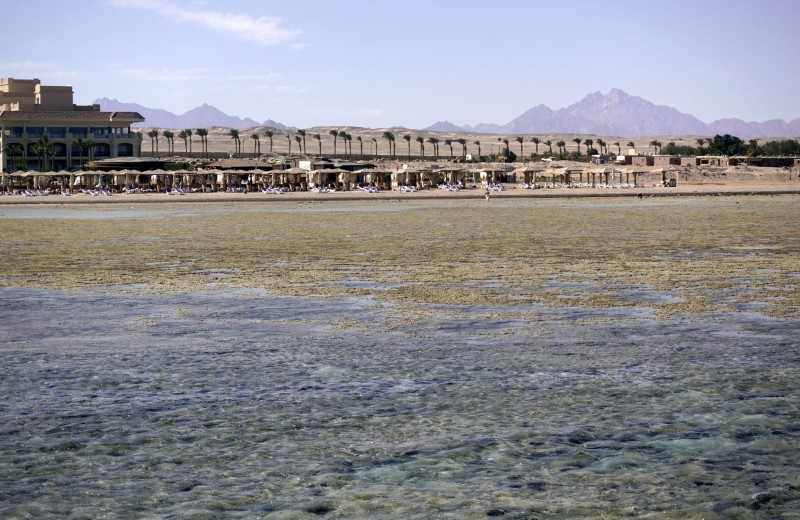 &copy; Reuters. FILE PHOTO: Tourists relax during a low tide at the beach of the Red Sea resort of Sahl Hasheesh, Hurghada