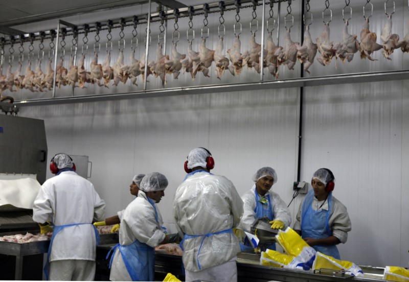 © Reuters. Processamento de carne de frango em frigorífico em Itatinga (SP)