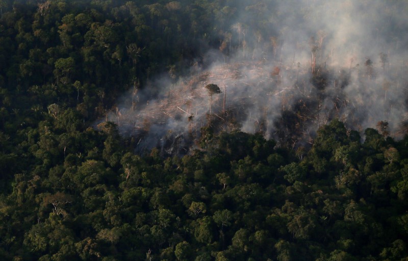 &copy; Reuters. Incêndio na floresta amazônica perto de Itaituba, no Pará