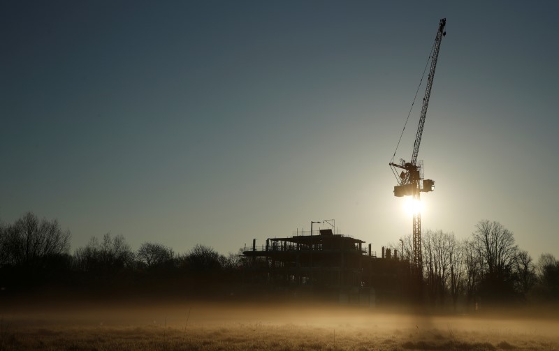 &copy; Reuters. General view of a tree as the sun rises in Hemel Hempstead