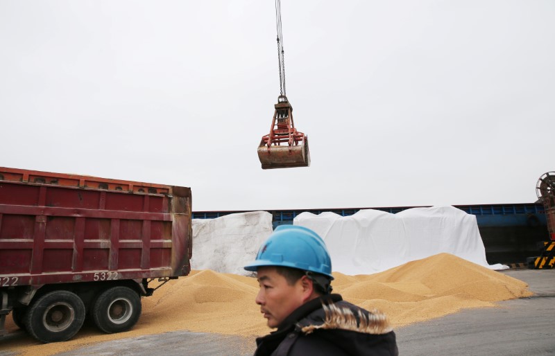 © Reuters. Descarregamento de soja no porto de Nantong, China