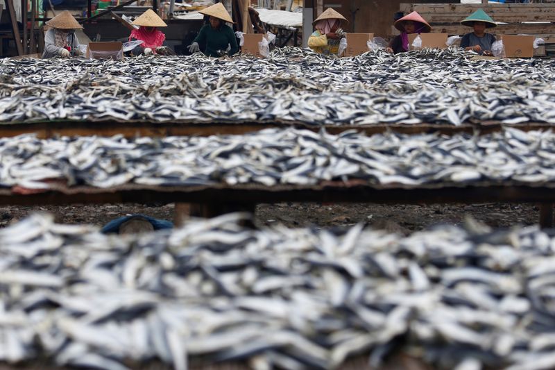&copy; Reuters. FILE PHOTO: People sort fish during the drying process at Muara Angke district in Jakarta