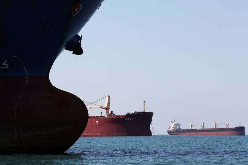 © Reuters. Navios formam fila para carregar no Porto de Santos (SP)