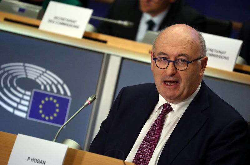 &copy; Reuters. European Trade Commissioner-designate Phil Hogan attends his hearing before the European Parliament in Brussels