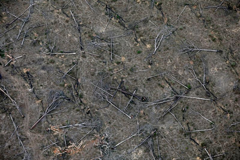 © Reuters. Vista aérea de região desmatada na Amazônia, próximo a Porto Velho, em Rondônia