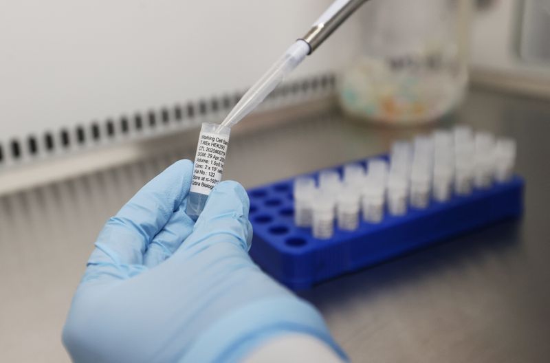 &copy; Reuters. Cientistas do Reino Unido trabalham em potencial vacina para Covid-19