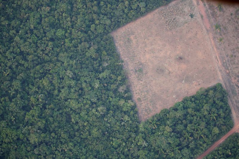 &copy; Reuters. FOTO DE ARCHIVO:  Una vista aérea muestra una parcela deforestada del Amazonas cerca de Porto Velho, Estado de Rondonia, Brasil 21 de agosto de 2019