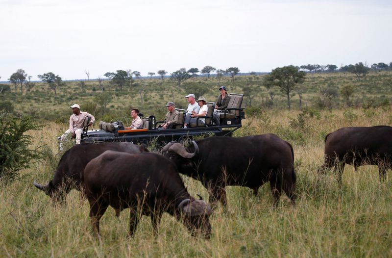 &copy; Reuters. Tourists are seen at a Safari watching a herd of buffaloes at a game reserve adjacent to the world-renowned Kruger National Park in Mpumalanga province