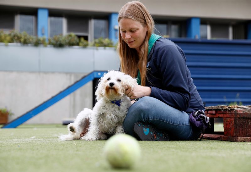 &copy; Reuters. Rehoming and Welfare Assistant Marina Elands takes Charlie, a Bichon Frise, for her daily exercise at Battersea Dogs and Cats Home, in London
