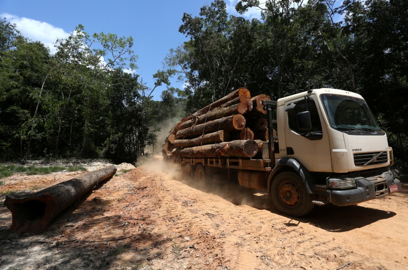 &copy; Reuters. Imagen de archivo de un camión cargado con troncos cortados del área de deforestación Bom Retiro en el costado derecho de la autopista BR 319 cerca de Humaita