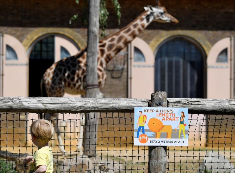 &copy; Reuters. Zoológico de Londres reabre para o público