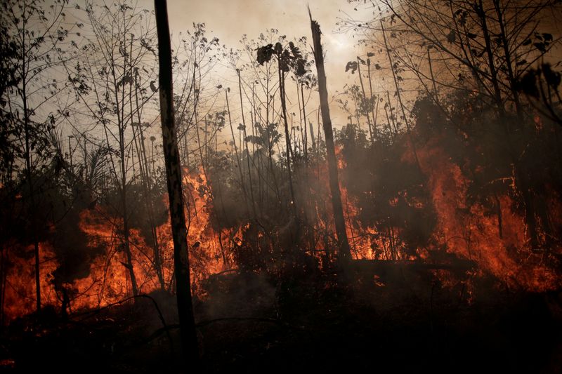 &copy; Reuters. FILE PHOTO: A burning tract of Amazon jungle is seen while as it is being cleared by loggers and farmers in Porto Velho