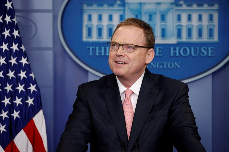 © Reuters. FILE PHOTO: Hassett addresses reporters during the daily briefing at the White House in Washington