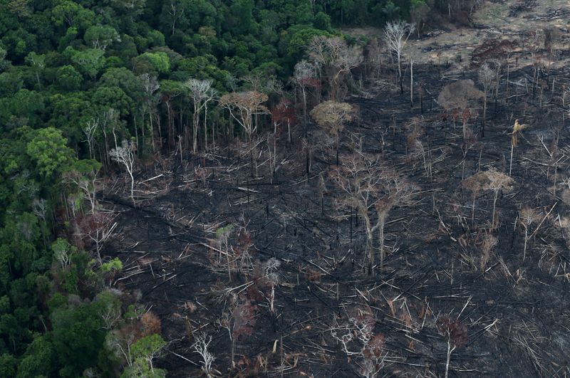 &copy; Reuters. Área desmatada da Amazônia brasileira em Itaituba, no Pará