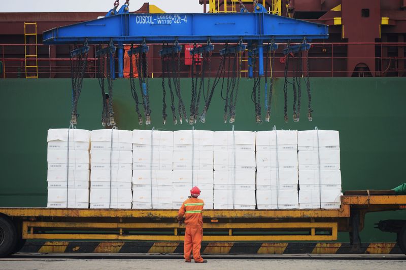 &copy; Reuters. Descarregamento de papel em porto de Qingdao, na China