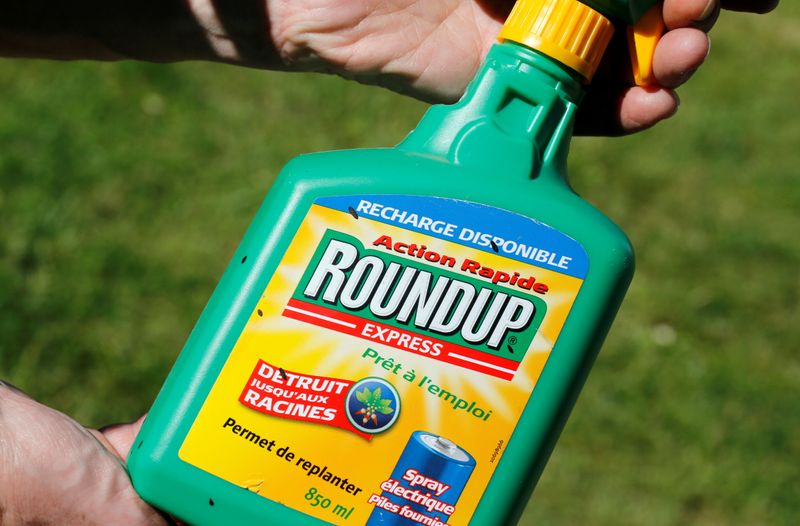 &copy; Reuters. Imagen de archivo de un hombre sosteniendo un atomizador del herbicida Roundup de Monsanto, que contiene glifosato, en un jardín en Burdeos