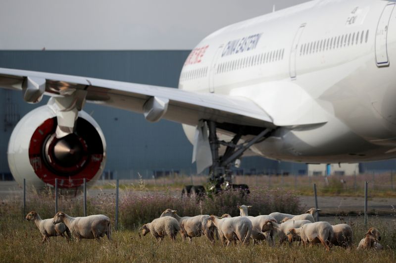 &copy; Reuters. Sheep graze in a field in front of an A350 passenger aircraft parked at the Airbus factory in Blagnac