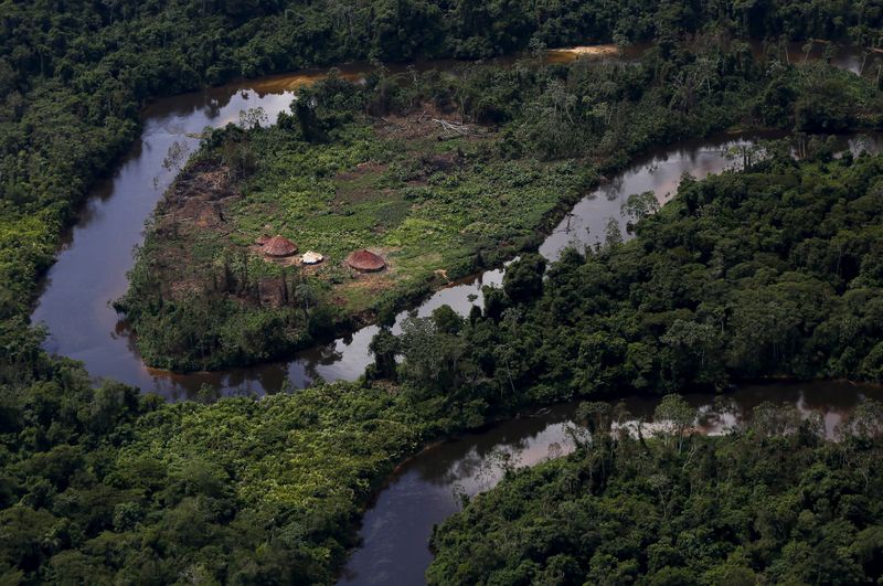 &copy; Reuters. Vilarejo ianomâmi na floresta amazônica em Roraima