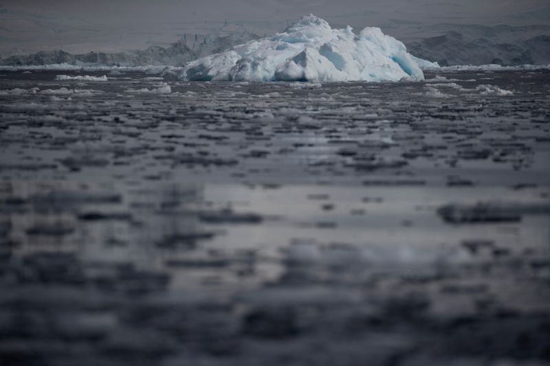 &copy; Reuters. FILE PHOTO: Small chunks of ice float on the water near Fournier Bay, Antarctica