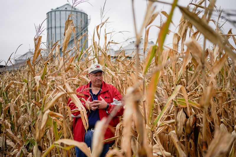 © Reuters. Agricultor em meio a plantio de milho em Terre Haute, Indiana (EUA)