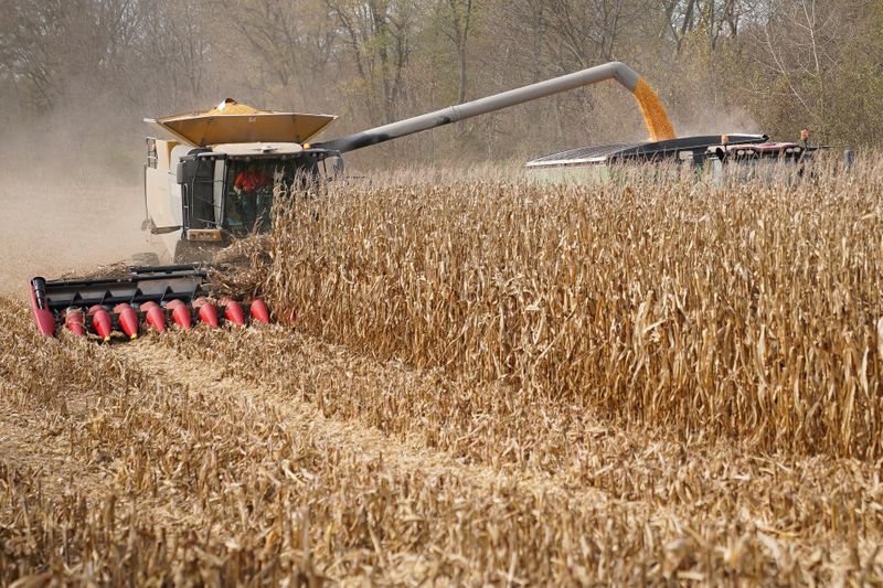 &copy; Reuters. Foto de archivo de una cosechadora en un campo de maíz en Roachdale, Indiana