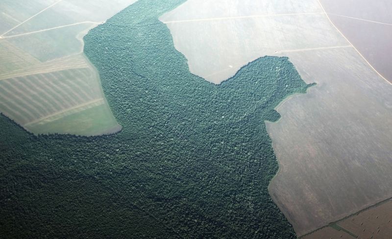 © Reuters. Vista de região da Amazônia com atividades agrícolas em Alta Floresta (PA)