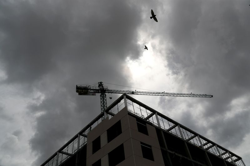 &copy; Reuters. FOTO DE ARCHIVO: Dos pájaros sobrevuelan un edificio de Madrid