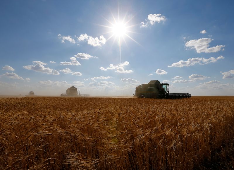 &copy; Reuters. Комбайны убирают пшеницу в поле в Акмолинской области Казахстана