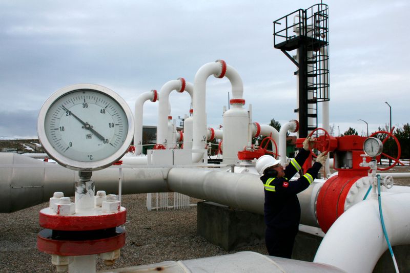 &copy; Reuters. Газораспределительный центр турецкой компании Petroleum and Pipeline Corporation вблизи Анкары