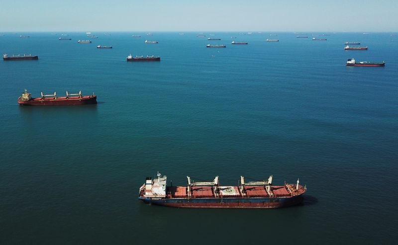&copy; Reuters. Navios formam fila à espera de carregamento no porto de Santos (SP)