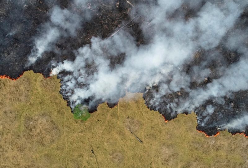 &copy; Reuters. FILE PHOTO: Fires in the Amazon: a barrier to climate change up in smoke