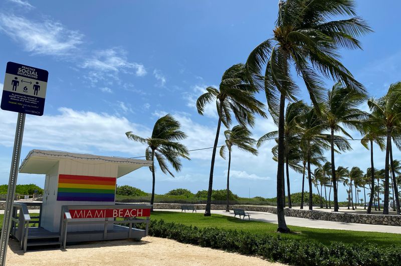 &copy; Reuters. Palm trees bend in the winds preceding Hurricane Isaias in Miami Beach