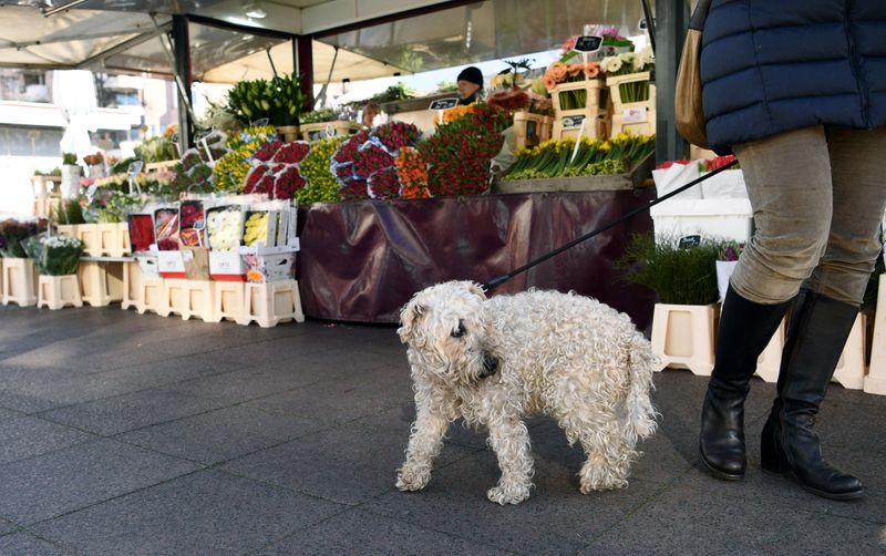 &copy; Reuters. 犬の散歩は1日2回1時間、ドイツの義務化方針に飼い主らは失笑