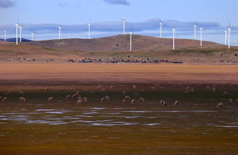 &copy; Reuters. FOTO DE ARCHIVO: Parque eólico de Infigen Energy en Australia