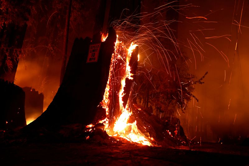 © Reuters. CZU Lightning Complex Fire rages in Boulder Creek