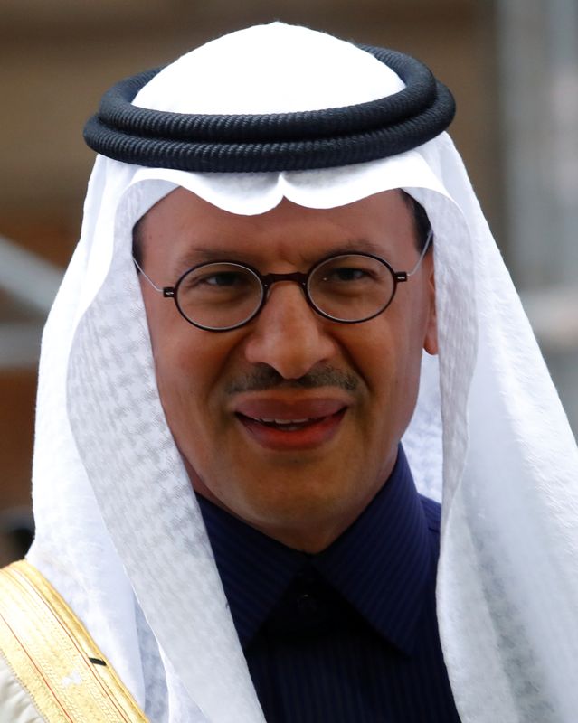 &copy; Reuters. وزارة الطاقة السعودية تشارك في مشروع منطقة نيوم الاقتصادية