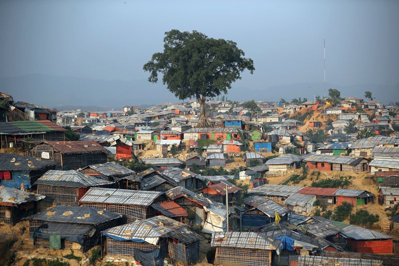 &copy; Reuters. FILE PHOTO: A banyan tree is seen at Balukhali camp in Cox’s Bazar