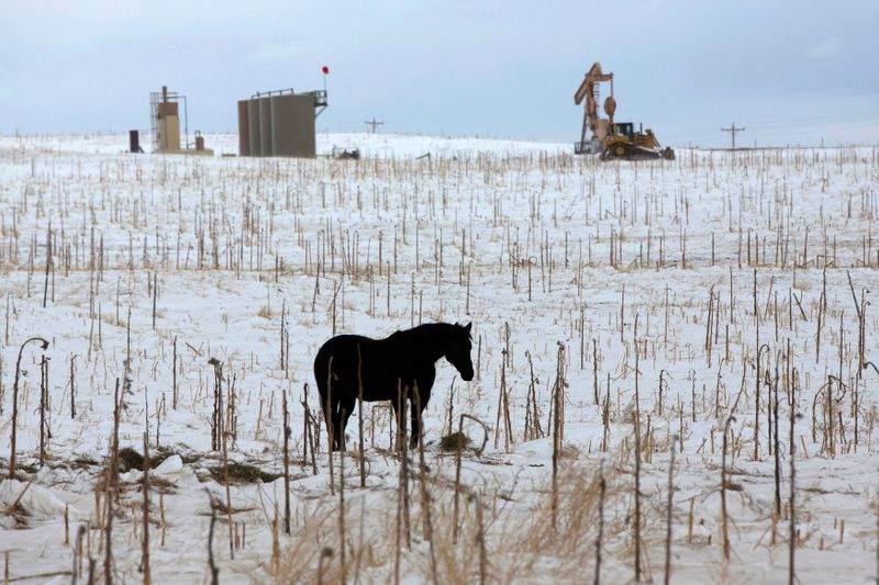 &copy; Reuters. FILE PHOTO: A horse is seen in a field near an oil pump site outside of Williston