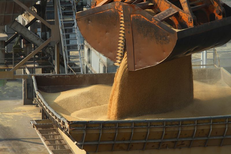 &copy; Reuters. Imported barley is transported from a cargo ship at the port of Nantong