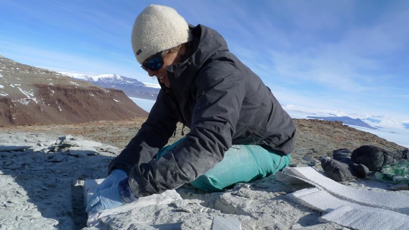 © Reuters. Paleontologists search for fossils in Antarctica in 2017