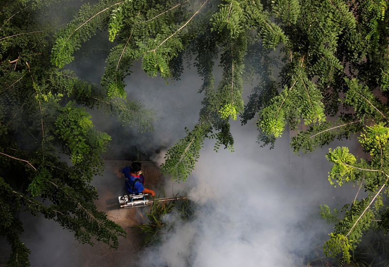 © Reuters. A worker fogs a housing estate for mosquitos in Singapore