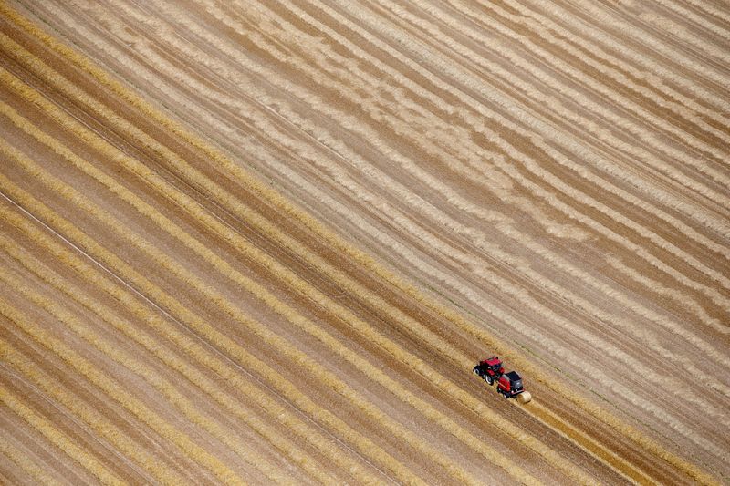&copy; Reuters. Visão aérea mostra campo de trigo em Coquelles, perto de Calais, no norte da França