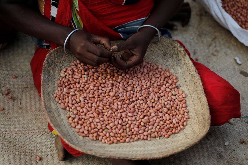 © Reuters. FILE PHOTO: A woman peels peanuts in the village of Lambokely the near city of Morondava