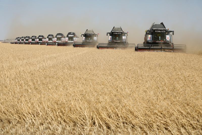 &copy; Reuters. Комбайны убирают пшеницу на поле в Ставропольском крае