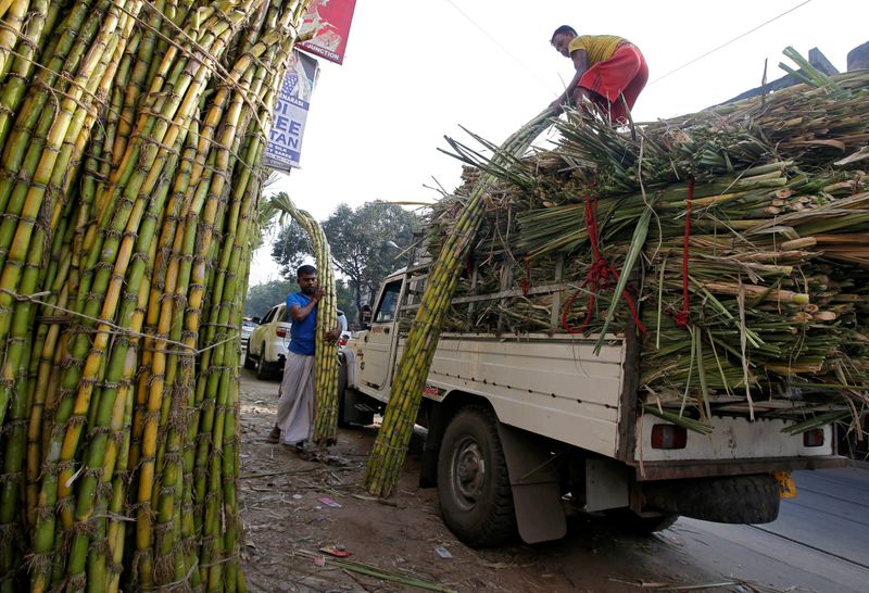 India's sugar crop faces delays with COVID-19 raging throughout nation