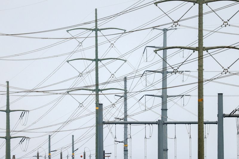 &copy; Reuters. Linha de transmissão de energia