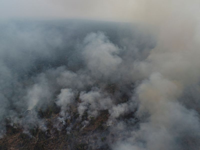 &copy; Reuters. ブラジル8月のアマゾン火災件数、過去10年で最悪の可能性＝科学者