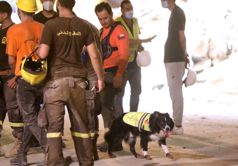 © Reuters. عمال إنقاذ يبحثون عن أحد الناجين تحت الأنقاض في بيروت لليوم الثاني