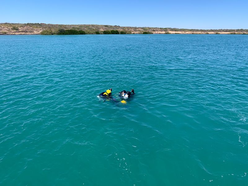 &copy; Reuters. Divers from Deep History of Sea Country search for artefacts off Dampier Archipelago in Western Australia